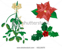 Christmas Mistletoe with Holly and Poinsettia - Clipart