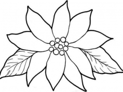 Free Poinsettia Clipart, Download Free Clip Art on Owips.com