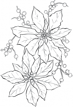 Poinsettia Clipart Black And White Free & Free Clip Art Images ...