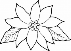 Blooming Poinsettia Coloring Page. Use for tissue paper art project ...