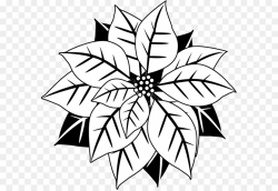 Black And White Flower png download - 633*617 - Free Transparent ...