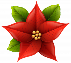 Free Poinsettia Flower Cliparts, Download Free Clip Art, Free Clip ...