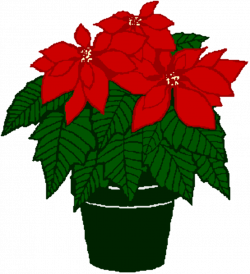 Free Free Poinsettia Clipart, Download Free Clip Art, Free Clip Art ...