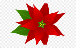 Christmas Poinsettia Clipart - Transparent Poinsettia Clipart - Png ...