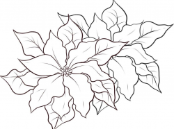 Poinsettia Clipart Black And White Free & Free Clip Art Images ...