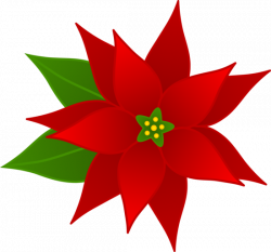 Free Clip Art Borders Poinsettia | Christmas Poinsettia Flower ...