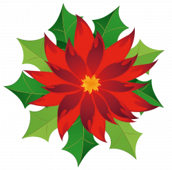 Free Poinsettia Cliparts Free, Download Free Clip Art, Free Clip Art ...