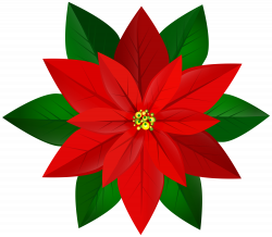 Poinsettia Clipart Free | Free download best Poinsettia Clipart Free ...