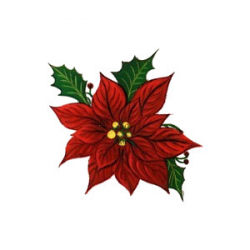 Christmas Poinsettia Clipart (83+ images in Collection) Page 2