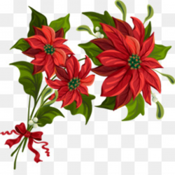 Christmas Poinsettia PNG - Christmas , Christmas Tree, Christmas ...