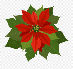 Poinsettia Clipart Png Transparent Png (#2361635) - PinClipart