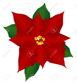 40+ Poinsettia Clip Art | ClipartLook