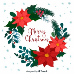 Poinsettia Vectors, Photos and PSD files | Free Download