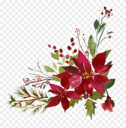 Poinsettia Clipart Flourishes - Watercolor Christmas Flower Png ...