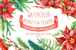 Watercolor Poinsettia Flowers ~ Illustrations ~ Creative Market