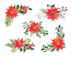 204 Best Watercolor flower clip art images in 2019 | Watercolor ...