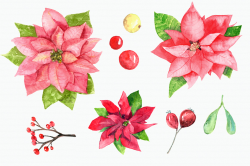Watercolor Poinsettia Clip Art Set