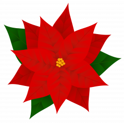 Free Poinsettias Cliparts, Download Free Clip Art, Free Clip Art on ...