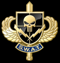 SWAT team | Military insignia, Swat, Special forces