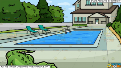 A Crocodile At The Zoo and A Backyard Pool Background
