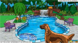 A Pretty Irish Setter and An Outdoor Pool With Waterfall Background