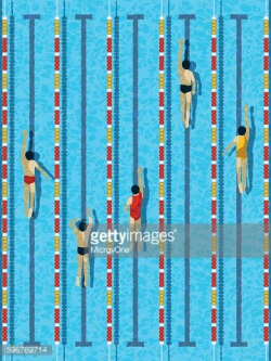 Top view swimming pool with athlete swimmers vector Clipart ...