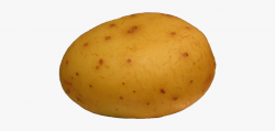 Download for free 10 PNG Potato clipart small top images at ...