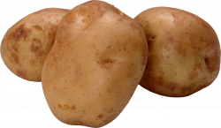 Potato clipart high resolution, Potato high resolution ...