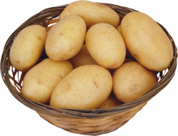 Potato clipart high resolution, Potato high resolution ...