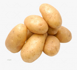 Potato Clipart High Resolution - Ap Calc Potato Meme ...