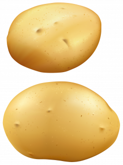 Potatoes PNG Clipart | Gallery Yopriceville - High-Quality ...