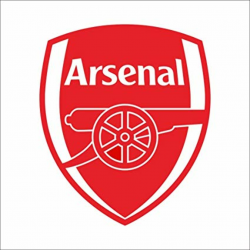 Fange DIY Removable Premier League Team Arsenal Logo Wall Stickers Bedroom  Decor Livingroom Decal Sticker 26.8\'\'x22.8\'\'