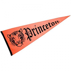 College Flags and Banners Co. Princeton Tigers Pennant 12\