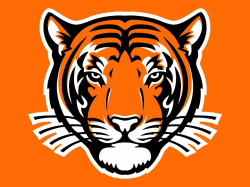 mascot | Princeton tigers, Princeton logo, Sports art