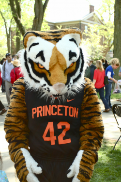 Princeton Tigers mascot | College football, Ivy league, Team ...