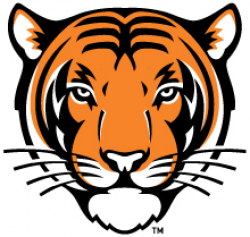 Which came first? The Tiger or his stripes? | Mudd ...