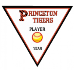 Triangle College Team Pennants - Princeton Baseball Triangle Pennants -  College Name Templa