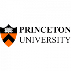 Princeton Logo transparent PNG - StickPNG