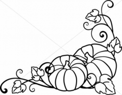 Pumpkins and Vines Lineart | Black, white art drawing, Vine ...