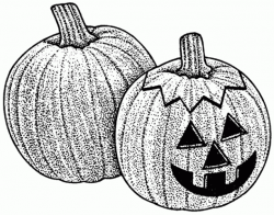 Halloween black and white pumpkin clipart black and white 2 ...