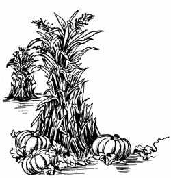 6 Thanksgiving Pumpkin Clipart | Fall clip art free, Fall ...
