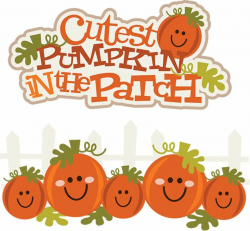 Cutest Pumpkin In The Patch SVG pumpkin clipart cute pumpkin clipart ...