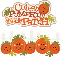 Cutest Pumpkin In The Patch SVG pumpkin clipart cute pumpkin clipart ...