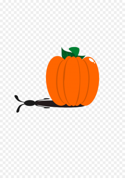 Pumpkin, Orange, Fruit, transparent png image & clipart free download