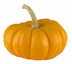 Pumpkin PNG Images Transparent Free Download | PNGMart.com