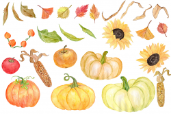 Watercolor pumpkin clipart