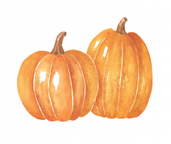 Watercolor Pumpkins Clipart Download - Seagrapes Studio