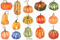 Watercolor Pumpkin Clipart, Harvest Clipart, Autumn Clipart