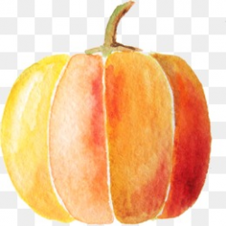 Watercolor Pumpkin Png, Vector, PSD, and Clipart With Transparent ...