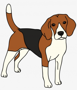 Beagle Vector Dog - Beagle Clipart Transparent PNG - 2995x3317 ...